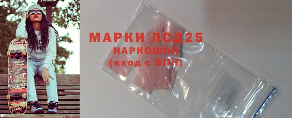 шишки Верея