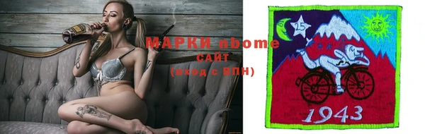 шишки Верея