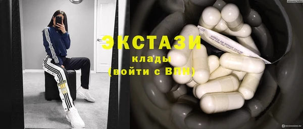 шишки Верея