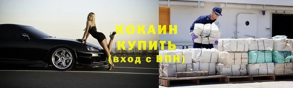 шишки Верея